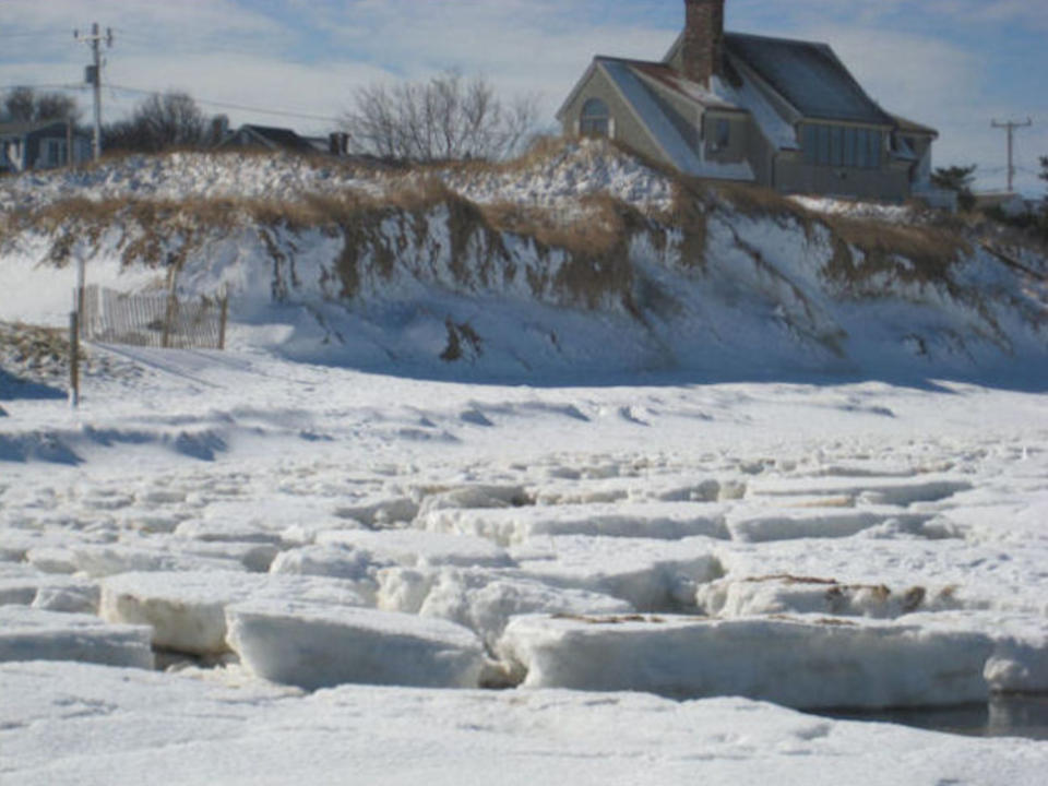 Beach Ice Floes