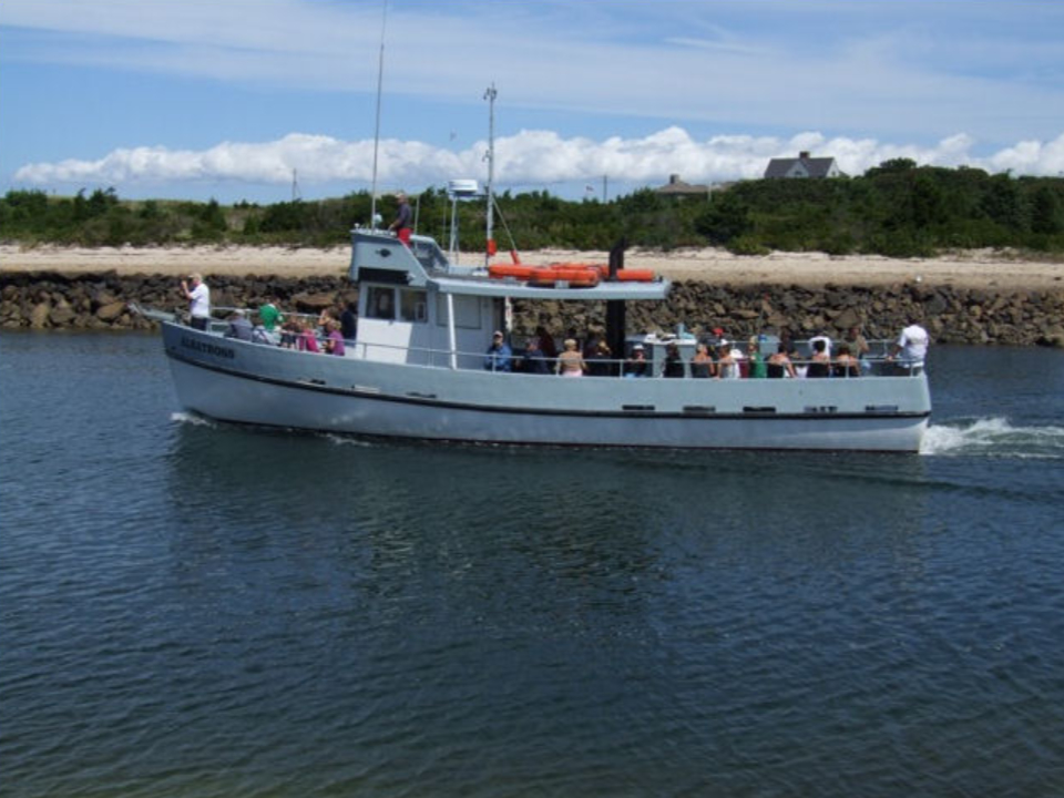Albatross Heading Out