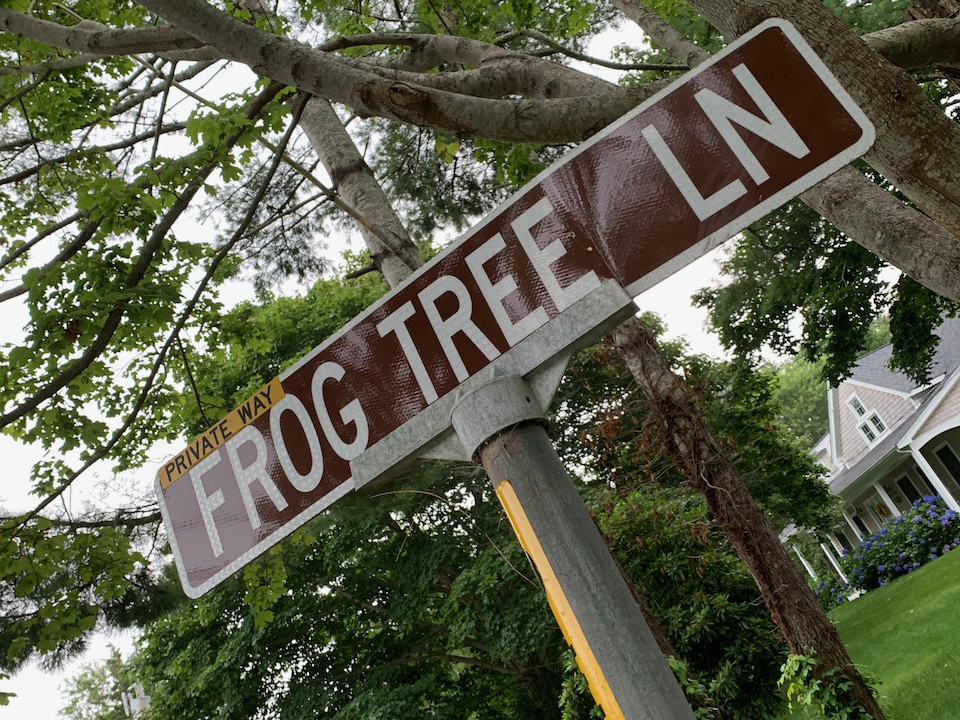 Frog Tree Lane