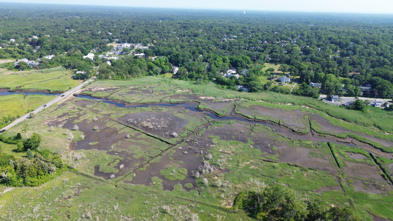 Marsh from the Air